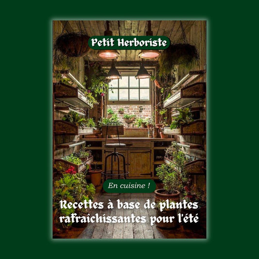 EN CUISINE ! Recettes à base de plantes rafraîchissantes pour les chaudes journées d'été - Petit Herboriste